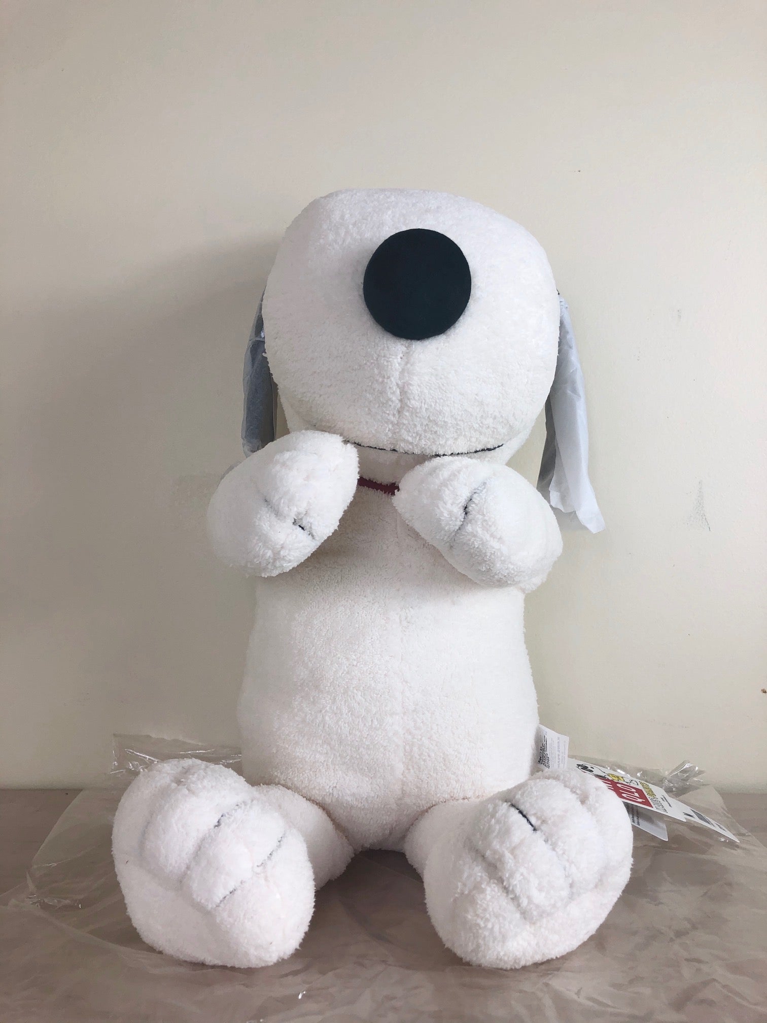 Kaws x Peanuts Toy (M)