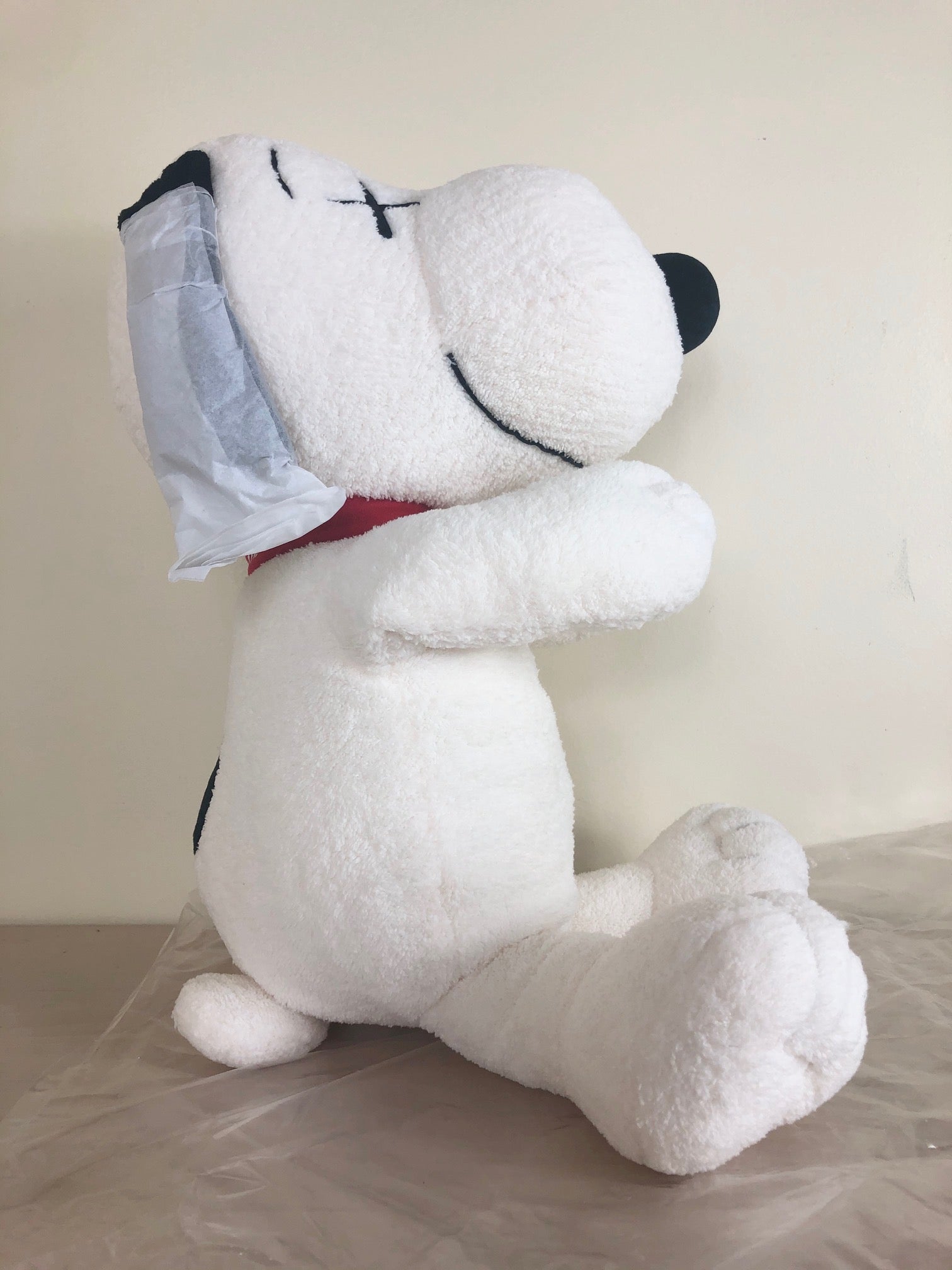 Kaws x Peanuts Toy (M)