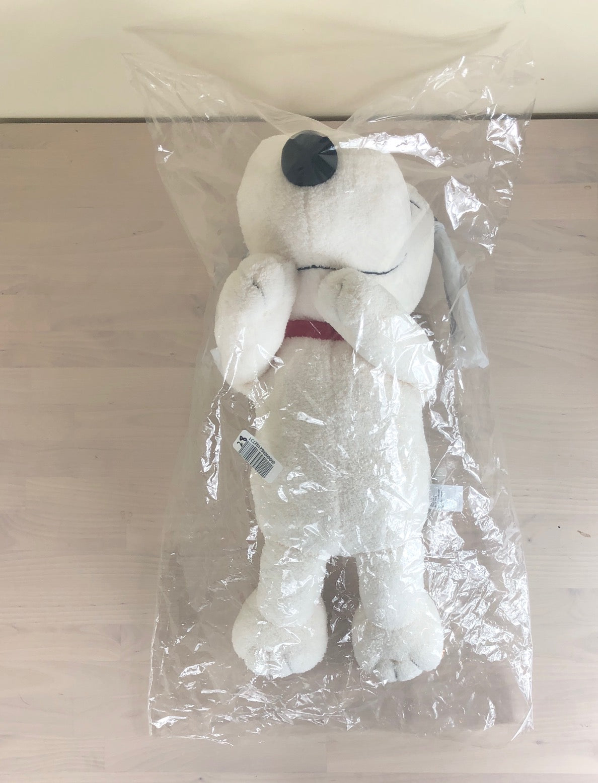 Kaws x Peanuts Toy (M)